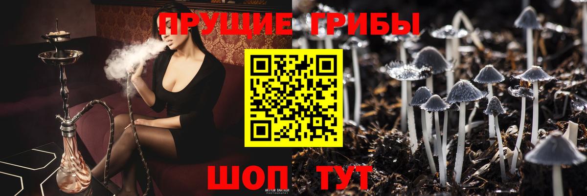 Минеральные Воды  Галлюциногенные грибы MAGIC MUSHROOMS  продажа наркотиков  Вход с VPN 